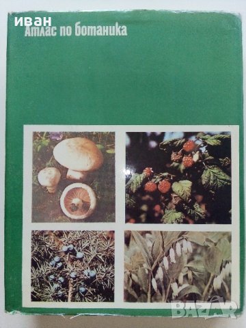 Атлас по Ботаника - Сл.Петров,Е.Паламарев - 1994г.  , снимка 7 - Енциклопедии, справочници - 42277632
