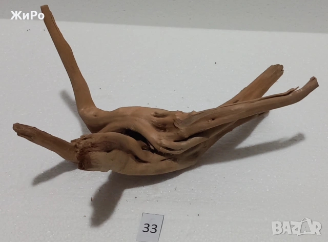 Корен от Азалия /декорация/ 33, снимка 3 - Други - 54093473