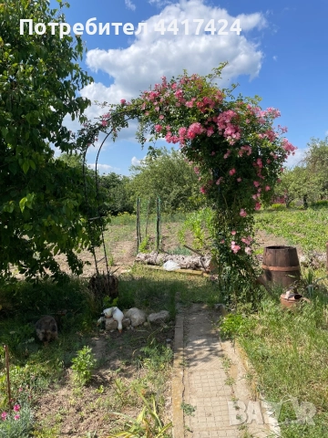 Къща вила с. Иглика област Шумен, снимка 4 - Къщи - 51882523
