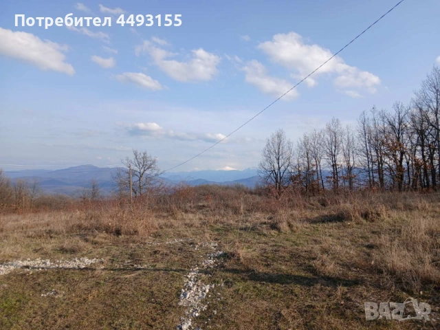 с.Патрешко, снимка 8 - Земеделска земя - 50549117