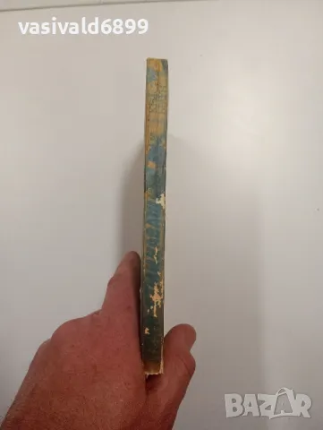 Кристи Браун - Край отминаващите дни , снимка 2 - Художествена литература - 49165246