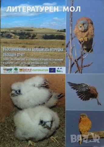 Възстановяване на белошипата ветрушка: Обобщен отчет