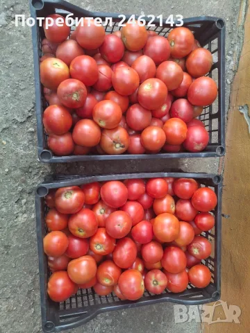 Продавам вкусен розов домат, снимка 3 - Други услуги - 55876824
