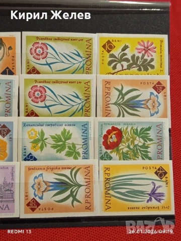 Стари пощенски марки без печат ЦВЕТЯ РУМЪНИЯ за КОЛЕКЦИЯ ДЕКОРАЦИЯ 52020, снимка 3 - Филателия - 53227487