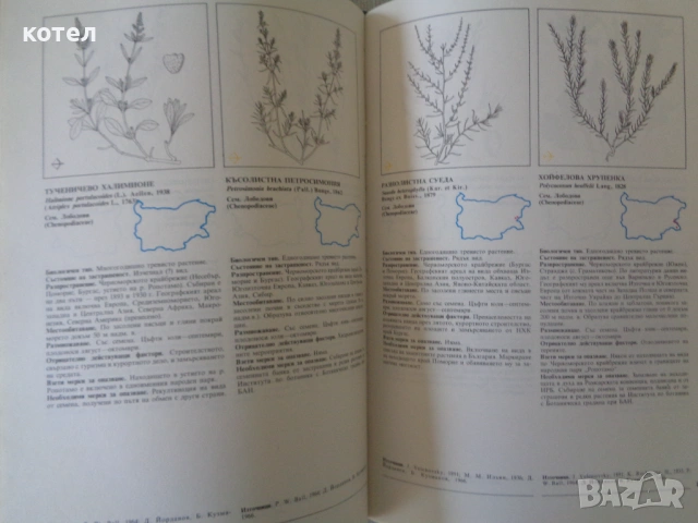 Продавам - „Червена книга на НР България“ (1984) –Том 1: Растения, снимка 4 - Специализирана литература - 54131419