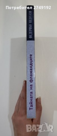 Тайната на фламандците - Федерико Андахази, снимка 2 - Художествена литература - 44384114