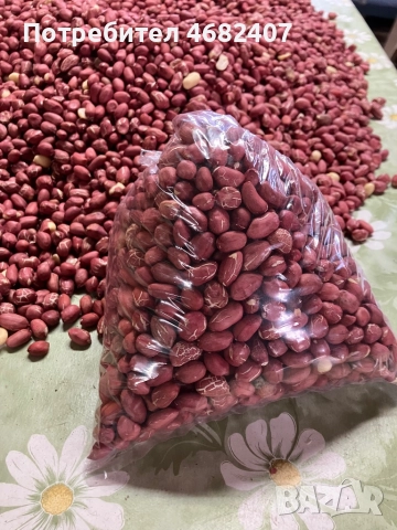 Български ФЪСТЪК