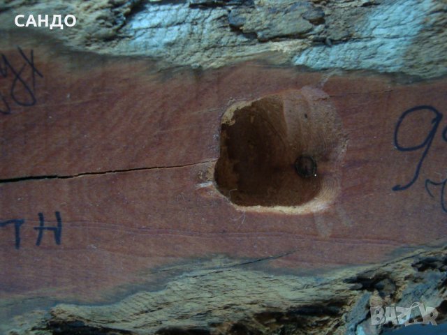 Изящна дървена скулптура "ГОРСКИ ДУХ " дърворезба САЩ, снимка 10 - Статуетки - 39021483