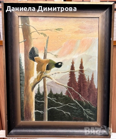 Рисувана картина на фазер