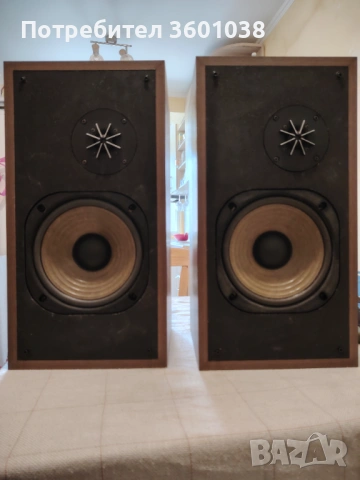 Pioneer. Cs. E421, снимка 2 - Тонколони - 53933501