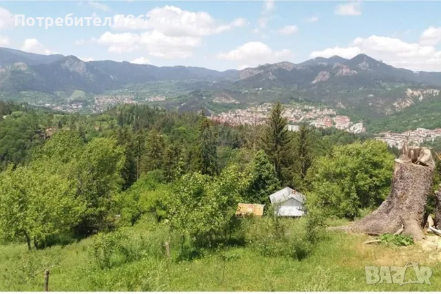 Поземлен имот - За продажба, снимка 4 - Парцели - 47873176