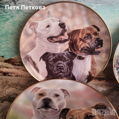 Чинии за стена , снимка 8 - Декорация за дома - 53054437