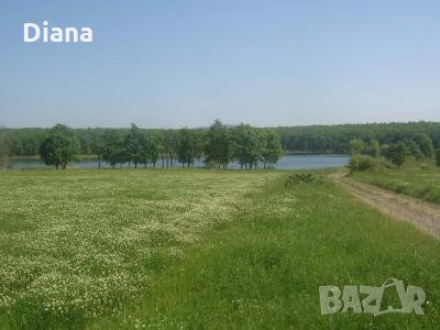 Парцел 3000кв.м. на 12 км от Приморско - с.Ясна поляна, снимка 7 - Парцели - 32135143