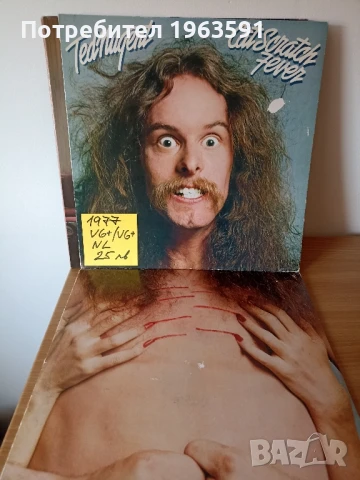 грамофонни плочи, снимка 11 - Грамофонни плочи - 50590052