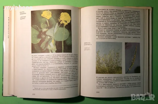 Стара Книга Атлас по Ботаника/Сл.Петров,Е.Паламарев, снимка 8 - Специализирана литература - 49204492