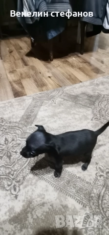 Продават се