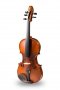 5- Струнна цигулка.
