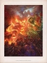 Книга World Of Warcraft, Френско издание, снимка 3