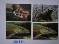 Стари календарчета от 1987г., 2011 г., 2013 г. и 2015 г. с животни, птици и риби, снимка 7
