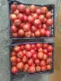Продавам вкусен розов домат, снимка 3