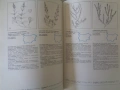 Продавам - „Червена книга на НР България“ (1984) –Том 1: Растения, снимка 4