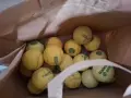 Тенис топки всякакъв вид, снимка 4