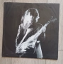 Jimmy Page ‎– Outrider Издание 🇩🇪 GERMANY 1988г Стил:Blues Rock, Hard Rock Състояние на винила:NEA, снимка 3