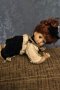 Страхотна порцеланова кукла, снимка 1 - Колекции - 30353306