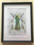 Перлено бръмбарче, снимка 1 - Картини - 44473206