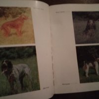 Книга за ловеца и риболовеца, снимка 10 - Специализирана литература - 38891693