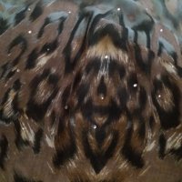СТРАХОТНА риза шифон  - леопардов принт на светлосин фон със сребристи камъчета, снимка 3 - Ризи - 42806650