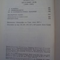 Животът на Гоген- Анри Перюшо, снимка 4 - Художествена литература - 32047571