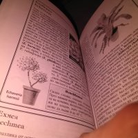 Стайни растения Жечка Георгиева книга , снимка 6 - Езотерика - 42734836