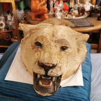 Глава на лъв трофей от 19век., снимка 7 - Антикварни и старинни предмети - 29194108