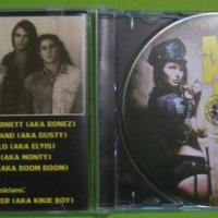 Ask Alice – Big Busted CD глем метъл, снимка 2 - CD дискове - 31638932