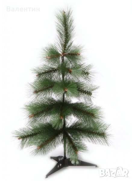 Елха - 60 см., снимка 1