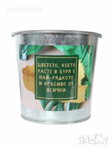 СЕТ весели кашпи за градината (микс от 9 бр), снимка 3 - Декорация за дома - 39837223