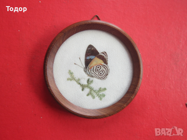 Бразилска арт картина пеперуда 1, снимка 6 - Картини - 36578064