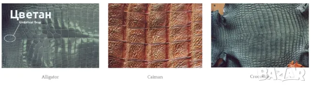 Портфейл от крокодилска кожа, снимка 8 - Портфейли, портмонета - 50389110