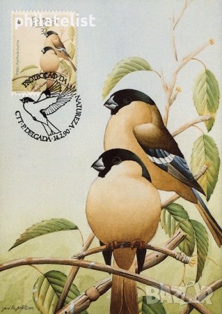 Азорски острови - Португалия 1990 4 броя Карти Максимум, снимка 3 - Филателия - 38896236