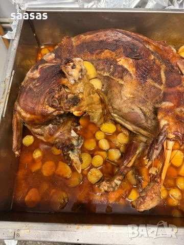 Печени агнета и прасета, снимка 18 - Други услуги - 51031087