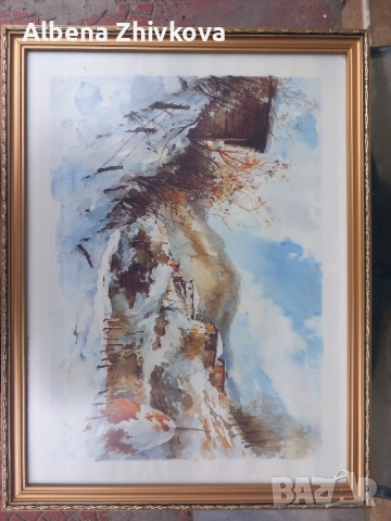 две картини рамкирани под хелеоматично стъкло, снимка 5 - Картини - 52051713