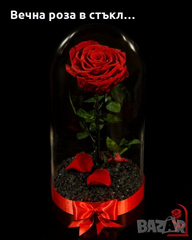 Романтичен подарък за приятелка / ЕСТЕСТВЕНА вечна роза в стъкленица / Подарък за Рожден Ден на Жена, снимка 10 - Градински цветя и растения - 24090675