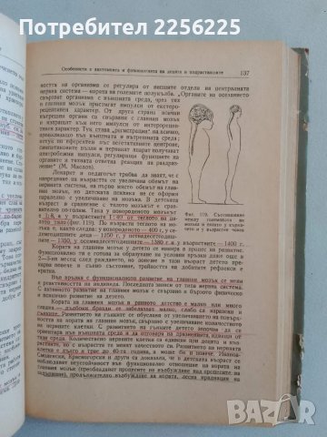 Основи на хигиената, снимка 4 - Специализирана литература - 47490534