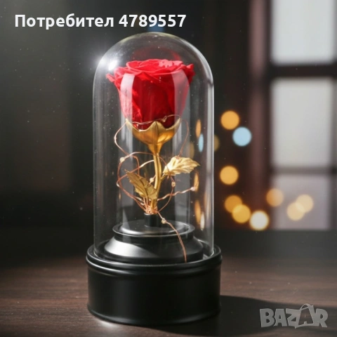 Вълшебна неувяхваща роза в стъкленица с LED светлина