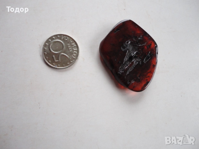 Натурален балтийске кехлибар 1