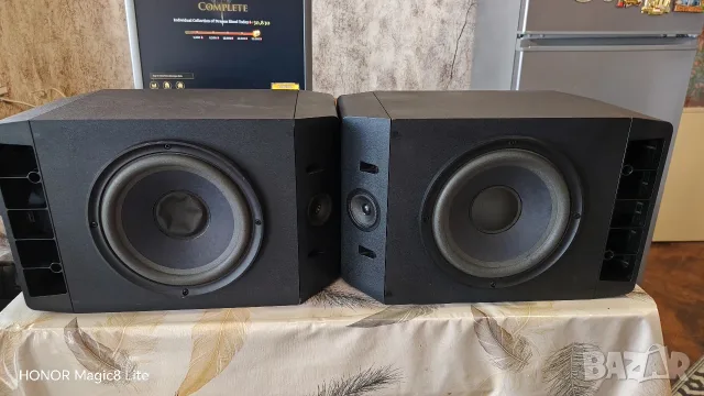 Тонколони Bose 301 series IV, снимка 2 - Тонколони - 56551698
