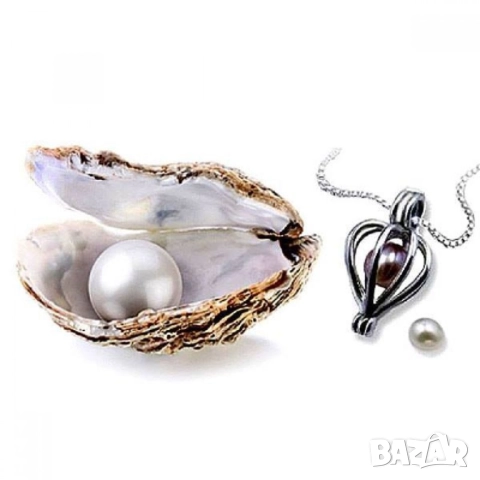 Колие с естествена перла в мида – оригинален подарък за жена, снимка 2 - Подаръци за жени - 52262661