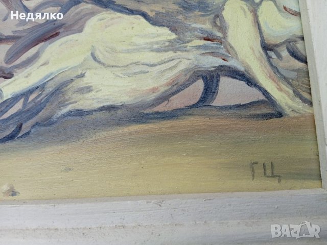 Стари картини,2бр,Георги Цигуларов,масло, снимка 4 - Други ценни предмети - 36760329
