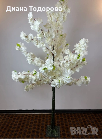 Декоративно дърво вишна бяло